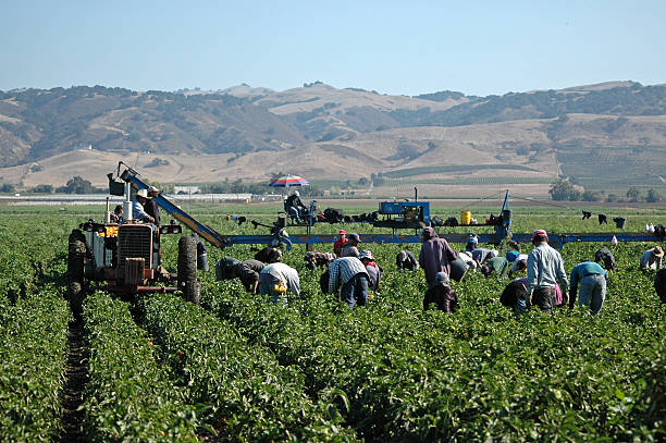Farming Labor Jobs in the USA