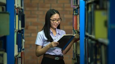 Malaysian Scholarships Without IELTS for 2024